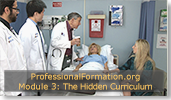 The Hidden Curriculum and Professional Formation