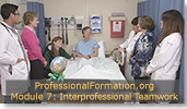 Interprofessional Teamwork in Healthcare